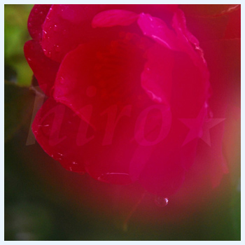 ���܂���