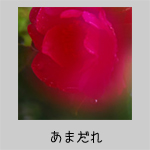 ���܂���