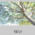 �}�J�t�F��